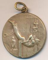 1933. "I. díj 1932-2933. S.ZS." tornász Br sportérem (30mm) T:2,2-