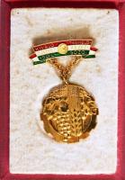 ~1965. "Kiváló Termelőszövetkezeti Dolgozó" kitüntetés, címer hiányzik, dísztokban T:1