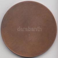 Fritz Mihály (1947-) DN "Pedagógus Szolgálati Emlékérem" Br emlékplakett (42,5mm) dísztokb...