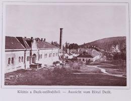 1894 Bártfa-Fürdő 24 képet tartalmazó leporelló Divald K. kiadása / 
1894 Bad-Bartfeld leporello wit...