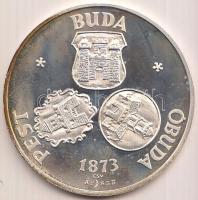 Csúcs Viktória (1934-) 1973. "Pest-Buda-Óbuda egyesítésének centenáriuma / ÁPV emléktallér" Ag emlékérem (25,1g/42,5mm) T:PP