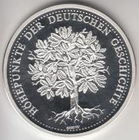 Németország 1991. "Brandenburgi Kapu építése 1788-1791" Ag emlékérem (20g/0.999/40mm) tanú...