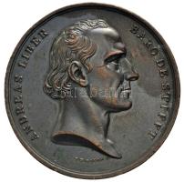 Ausztria 1834. "Andreas Liber báró orvostudományban elért sikereinek 50. évfordulójára" Br emlékérem. "ANDREAS LIBER BARO DE STIFFT - I. D. BOEHM. F. / LAVREAM SEMISECVLAREM CELEBRAT ORDO MEDICORVM VINDOBONENSIVM MDCCCXXXIV - NAT. 29 NOV. 1760 FROM 21 AVG. 1784" Szign.: Josef Daniel Boehm (78.5g/51.5mm) T:2,2- karc, ph. Austria 1834. "50th Anniversary of Andreas Liber Baro de Stifft" Br commemorative medallion. Sign.: Josef Daniel Boehm (78.5g/51.5mm) C:aXF scratched, edge error