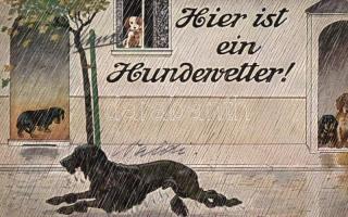 Hundewetter, humour