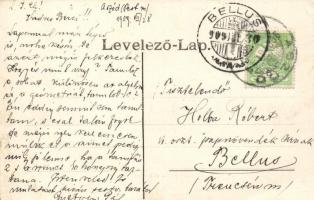 Aszód, aerogéngáz világítási telep; Wahl Adolf kiadása