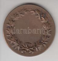 Németország ~1940. "Éljen a sí!" Br díjérem (40mm) T:2
Germany ~1940. "Hail the ski!&...