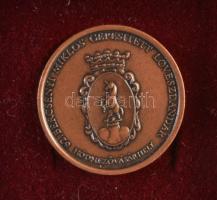 1990-es évek "62. Bercsényi Miklós Gépesített Lövészdandár Hódmezővásárhely" Br jelvény (22mm) T:1