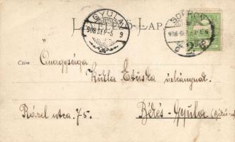 Sopron; Blum N. kiadása, clover, floral