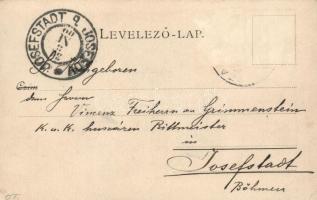 Szabadka, Tanítóképző intézet; Heumann Mór kiadása / teacher training school