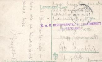 Szatmár, Városi színház / theatre