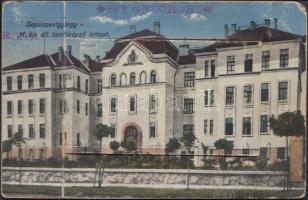 Sepsiszentgyörgy állami tanítóképző intézet, leporello, benne szövőgyár, dohánygyár, vasútállomás / teacher training school, leporello with weaving mill, tobacco factory and railway station (fa)