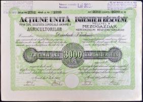 Románia / Arad 1923. Mezőgazdák Kereskedelmi Részvénytársaság egyesített részvénye 3000L-ről szelvényekkel T:I- Romania / Arad 1923. Commercial Agriculture Company combined share about 3000 Lei with coupons C:AU