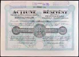 Románia / Arad 1923. Mezőgazdák Kereskedelmi Részvénytársaság egyesített részvénye 300L-ről szelvényekkel T:I- Romania / Arad 1923. Commercial Agriculture Company combined share about 300 Lei with coupons C:AU