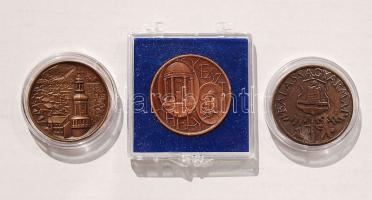 3 klf "Balassagyarmat, Keszthely, Sopron" Br emlékérem T:BU