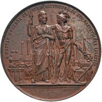 1874. "A Magyar Orvosok és Természetvizsgálók Társaságának XVII. nagygyűlése (Győr)" Br emlékérem. "SZABAD KIRÁLYI GYŐR VÁROSA - 1874 / A MAGYAR ORVOSOK ÉS TERMÉSZETVIZSGÁLÓK XVII NAGYGYŰLÉSE EMLÉKÉÜL - SEIDAN" (49.25g/44mm) Szign.: Wenzel Seidan T:2,2- Hungary 1874. "XVIIth Medical Congress in Győr" commemorative Br medallion (49.25g/44mm) Sign.: Wenzel Seidan C:aXF