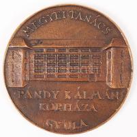 Kiss György (1943): Megyei Tanács Pándy Kálmán Kórháza, Gyula (1986), bronz plakett, d: 10 cm.