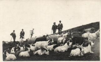 Taormina, alpine shepherds, photo