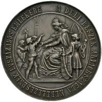 1879. "A Déli részek az anyaországhoz való visszacsatolása" Ag emlékérem. "MÁRIA THER...