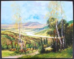 Jelzés nélkül: Nyári tájkép. Gouache, karton, 40×50 cm