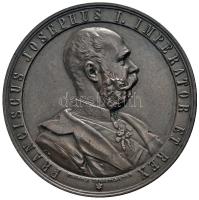 Osztrák-Magyar Monarchia 1890. "Bécsi Általános Mezőgazdasági és Erdészeti Világkiállítás" Br emlékérem. "FRANCISCUS JOSEPHUS I. IMPERATOR ET REX - PRAGE J. CHRISTLBAUER / LAND-U. FORSTWIRTSCHAFTLICHE AUSSTELLUNG WIEN 1890 - UNTER DEM ALLERHÖCHSTER PROTECTORATE SEINER KAIS: U: KÖN: APOSTOLISCHEN MAJESTAT" Szign.: Josef Christlbauer (32.62g/42mm) T:1-,2 Austro-Hungarian Monarchy 1890. "Agriculture and Forestry Exhibition in Vienna" commemorative Br medallion. Sign.: Josef Christlbauer (32.62g/42mm) C:AU,XF