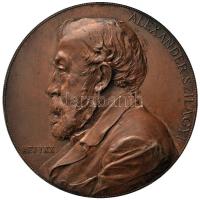 1897. "Szilágyi Sándor történész, az MTA rendes tagja születésének 70. évfordulójára" Br emlékérem. "ALEXANDER SZILÁGYI - AET. LXX / RERVM. HVNGARICARVM. AC. TRANSSYLVANICARVM. INDAGATORI. INDEFESSO. 1897 - K.B. - BÁTHORY BETHLEN RÁKÓCZY" Szign.: Anton Scharff (84.5g/57mm) T:2 Hungary 1897. "Alexander Szilágyi" commemorative Br medallion. Sign.: Anton Scharff (84.5g/57mm) C:XF Hauser: 7914.