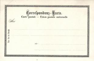 Vienna, Wien, vom Rathaus litho