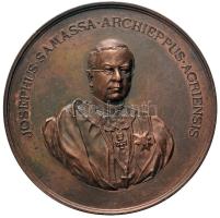 1898. "Samassa József egri érseki székre emelésének 25. évfordulója" Br emlékérem. "JOSEPHUS SAMASSA ARCHIEPPUS AGRIENSIS / PER V LUSTRA FIDE SAPIENTIA FORTITUDINE MUNIFICENTIA SUOS GUBERNANTI AD JUSTAM VIRTUTUM LAUDEM CAPITULUM ET CLERUS A DIOEC AGRIENSIS MDCCCLXXIII-MDCCCIIC" (76.6g/60mm) T:1-,2 Hungary 1898. "Archbishop Joseph Samassa from Eger" commemorative Br medallion (76.6g/60mm) C:AU,XF