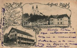 Maria Trost bei Graz, Gasthaus zum Bauernwirth, Bahnhof / railway station; floral (Rb)