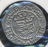 1563K-B Denár Ag "I. Ferdinánd" T:2
Huszár: 936., Unger II.: 748.a