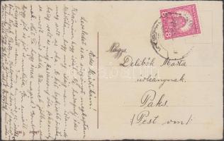 New Year, pig, litho