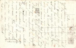 Italian steamer SS Italia, Lago di Garda