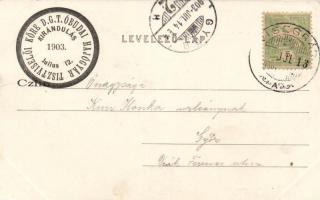 Visegrád Salamon tornya, Divald