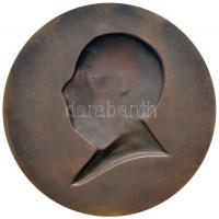 1926. "Lobmayer Géza sebész professzor" nagyméretű egyoldalas öntött Br plakett. "GEZ...