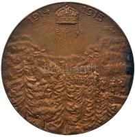 Osztrák-Magyar Monarchia 1915. "Limanowai csata (háború a Kárpátokban)" Br emlékérem. &quo...