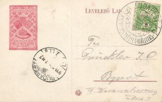 Budapest IX. Iparművészeti Múzeum, Első magyar országos bélyegkiállítás, So. Stpl