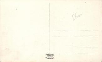 Tapolca, Tavasbarlang lejárata, Első Tapolcai Ecetszeszgyár