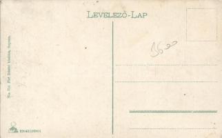 Sopron, Oedenburg; Széchenyi tér, Fleischer József kereskedése; Piri Dániel kiadása