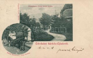 1899 Sárközújlak, Péchújfalusi Péchy István parkja, Péchy Magduska, Dőry Iduska; Hegedűs Gyula kiadása / castle park