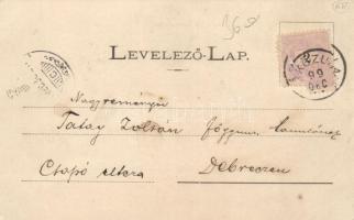 1899 Sárközújlak, Péchújfalusi Péchy István parkja, Péchy Magduska, Dőry Iduska; Hegedűs Gyula kiadá...