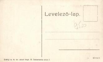 1908 Budapest III. Állami Főgimnázium jégpályája