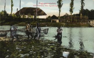 Bakonyszombathely, Magyarszombathely; Gróf Eszterházy Béla tógazdasága; H.T.Gy. Erdőhivatal kiadása