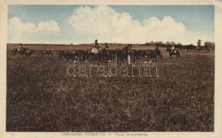 Kisbér, pulai anyaménes (EK)