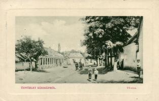 Sárisáp, Fő utca (EK)