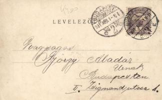 Budakalász, Popper Sándor vendéglője, Szmik-nyaraló, Dorics-Magyarevitcs-nyaraló