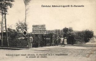 Dunaharaszti, Rákóczi-liget, vasútállomás, Némedi út