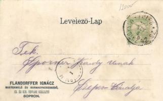 1902 Sopron IV. Országos Kereskedelmi Kongresszus, Flandorfer Ignácz cég telepének pincéje, litho