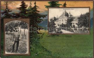 Gödöllő, kastély, Ferenc József vadászruhában; kiadja Nemesánszky Józsefné; floral litho (EK)