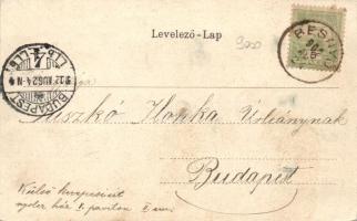 Gödöllő, kastély, Ferenc József vadászruhában; kiadja Nemesánszky Józsefné; floral litho (EK)