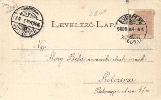 Budapest látképe az Elevátorból; Divald fénynyomda