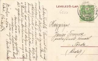 Dunabogdány, községháza; Temler A. kiadása